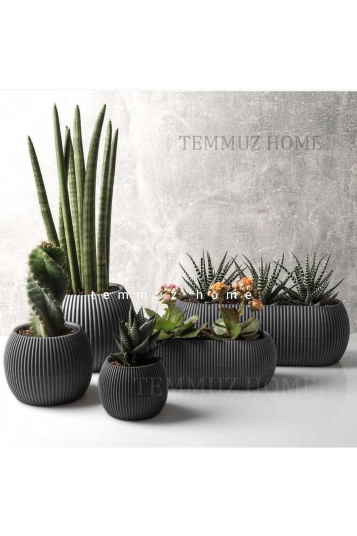 JULY HOMEKarasu Coral Pot Set 5 Pieces Size: GRAY