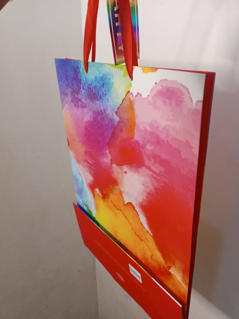Multi-color Gift Bag- Extra-large