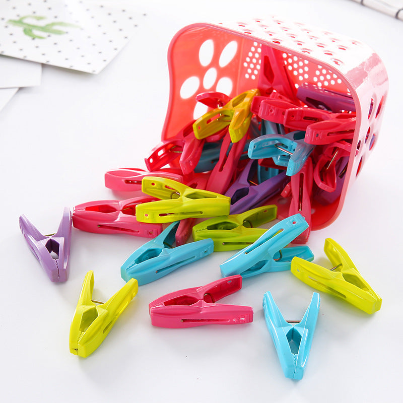 Ace Home Essentials 30 pieces of pegs