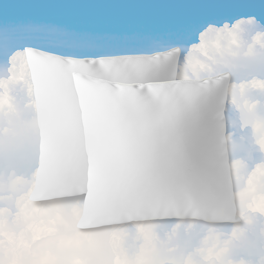 Ramsziza cushion pillows 2piece - white