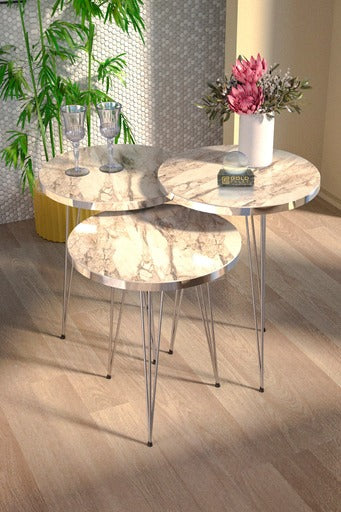 GOLDFALEZ Zigon Coffee Table Gümüş Bendir Side Coffee Table (Silver PVC)