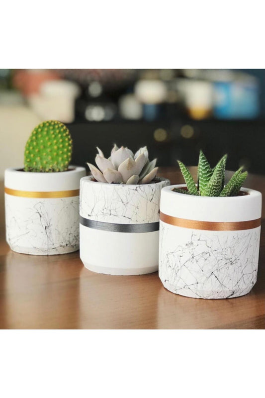 Big Craft Marble Pattern Cylinder, Geometric Concrete Pot Cactus And Succulent Set of 2