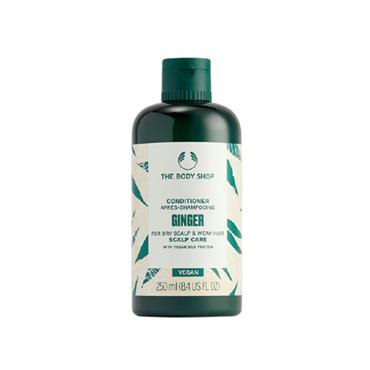 TBS CONDITIONER GINGER 250ML