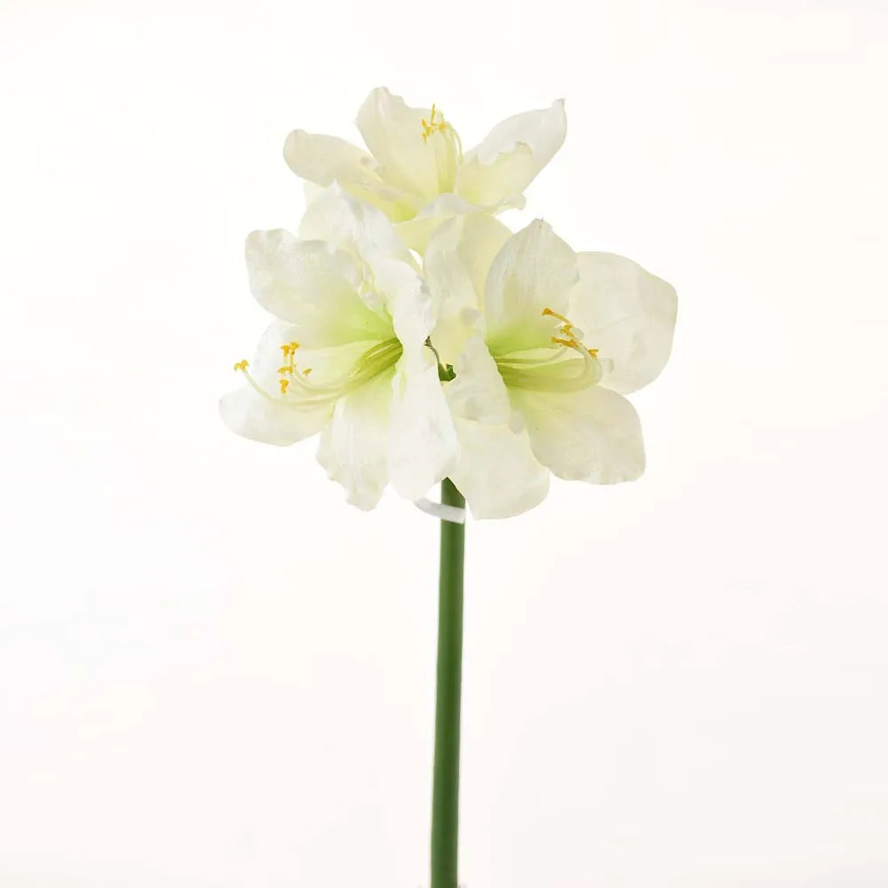 White amaryllis L83cm