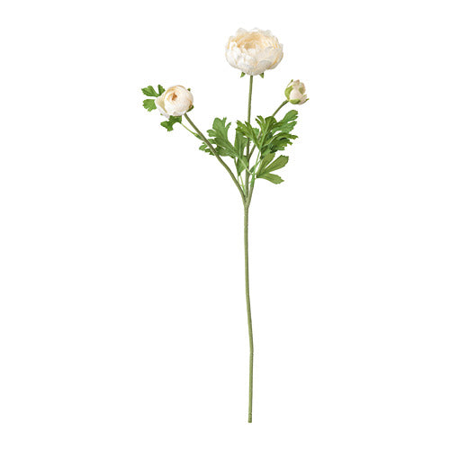 SMYCKA Artificial flower, Ranunculus/white
